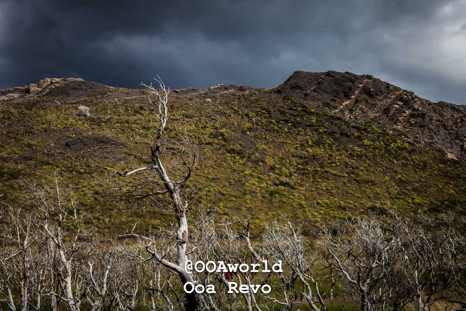Torres Del Day Arrival Day Torres Del Paine Trek dramatic landscape with barren trees and stormy sky Photo OOAworld