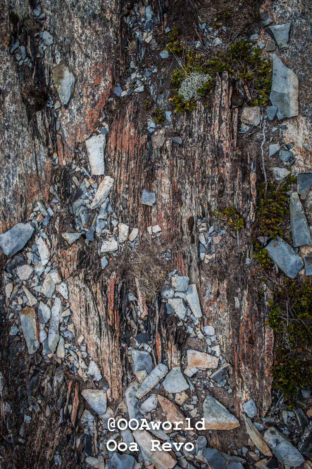 Torres Del Day Arrival Day Torres Del Paine Trek textured rock surface with moss and lichen Photo OOAworld