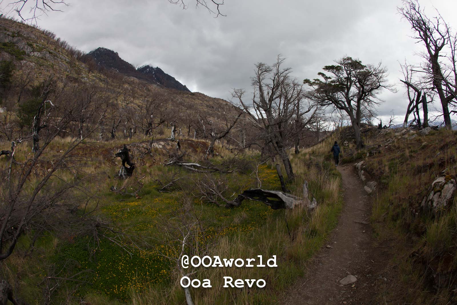 Torres Del Day Arrival Day Torres Del Paine Trek hiking trail in mountainous landscape with bare trees Photo OOAworld