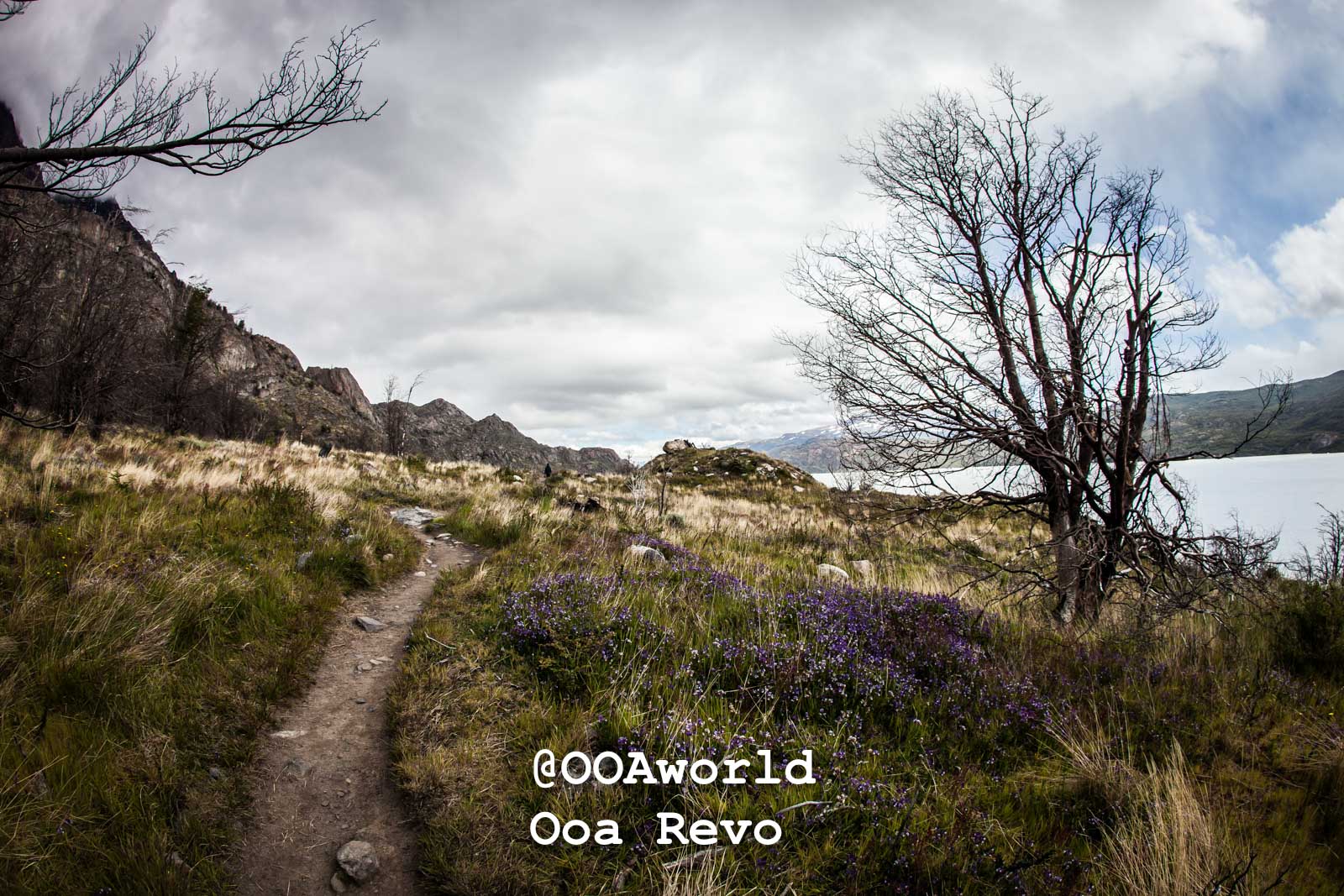Torres Del Day Arrival Day Torres Del Paine Trek Patagonian landscape path with rocky hills Photo OOAworld