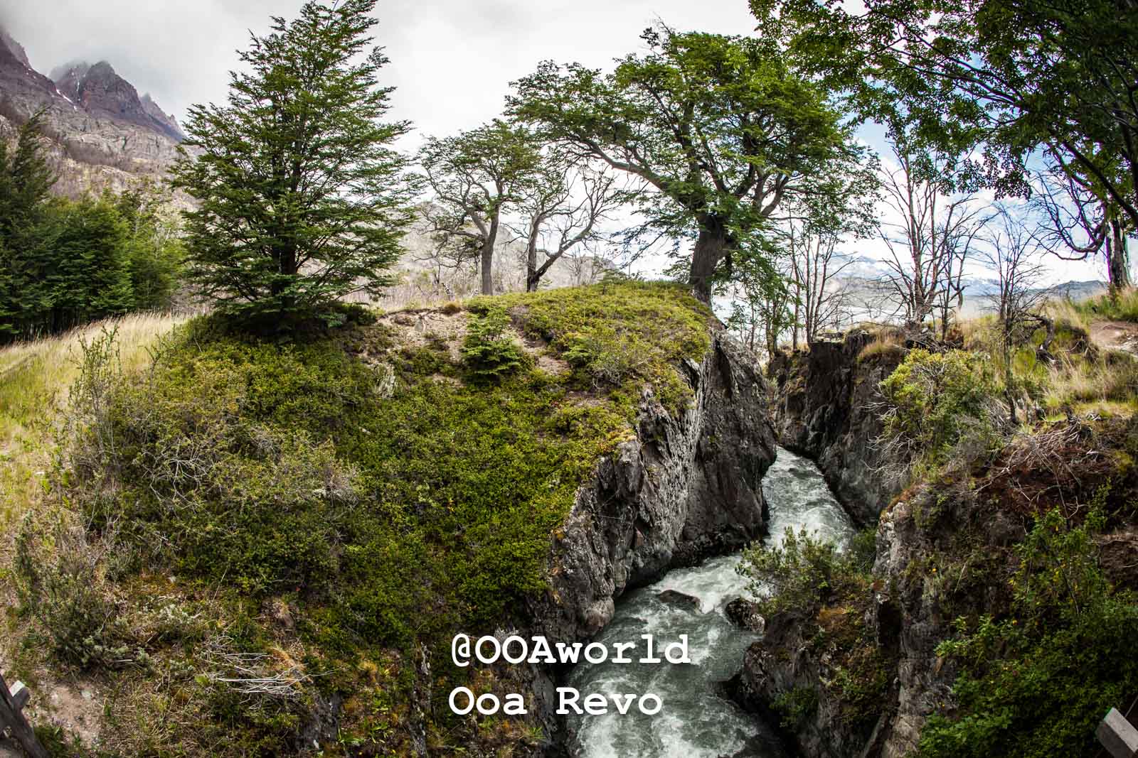 Torres Del Day Arrival Day Torres Del Paine Trek lush green landscape with river and mountains Photo OOAworld