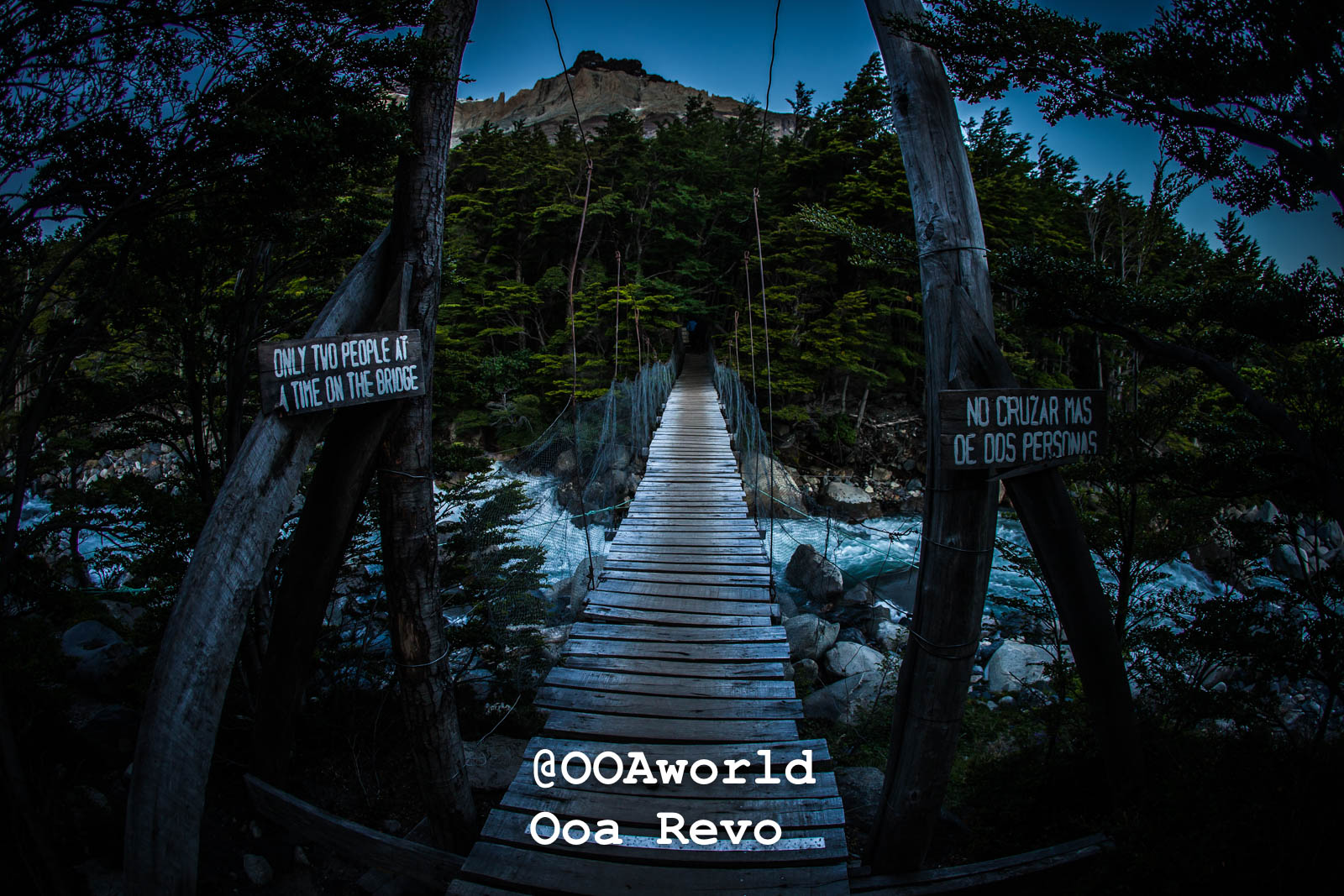 Torres Del Paine Day 1 Torres Del Paine Trek suspension bridge in dense forest at night Photo OOAworld
