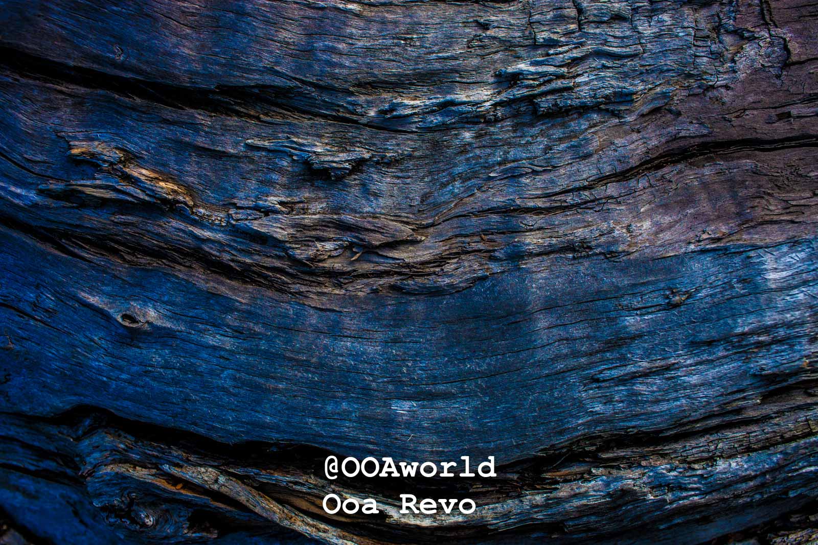 Day 2 Textures Torres Del Paine Day 2 weathered wood texture blue tones Photo OOAworld