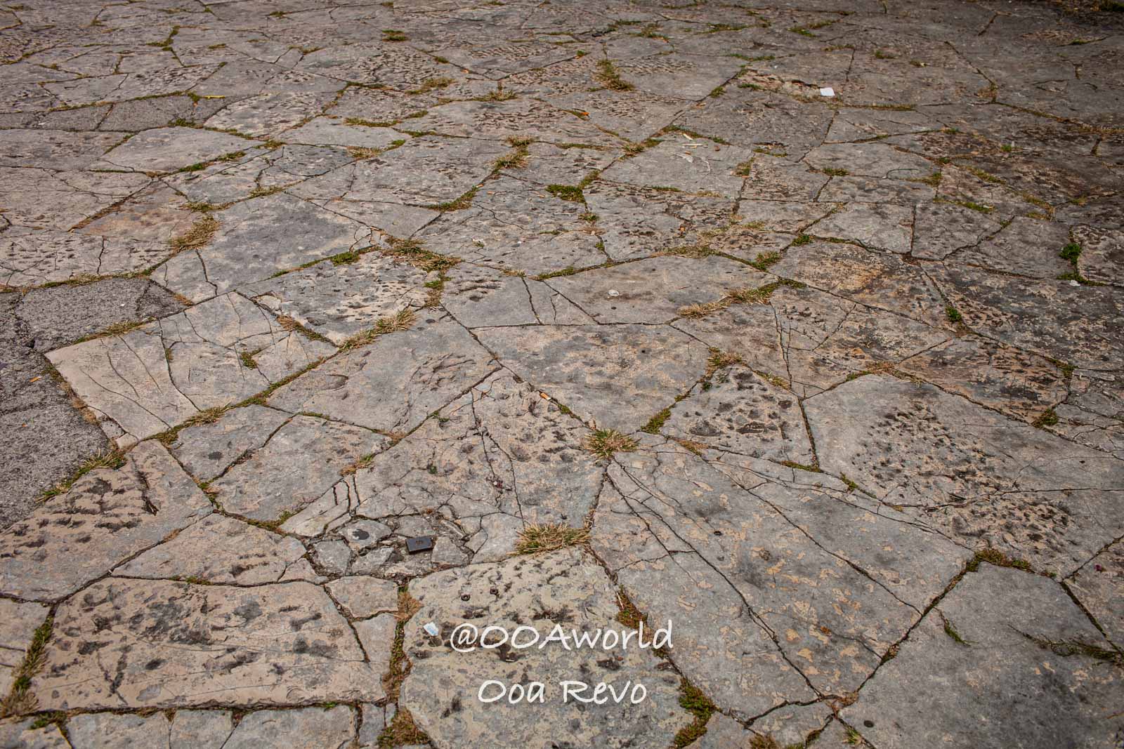 Trieste Italy weathered stone pavement texture Photo OOAworld
