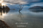 Wanaka-Glenorchy, NZ: 7 Travel Photos