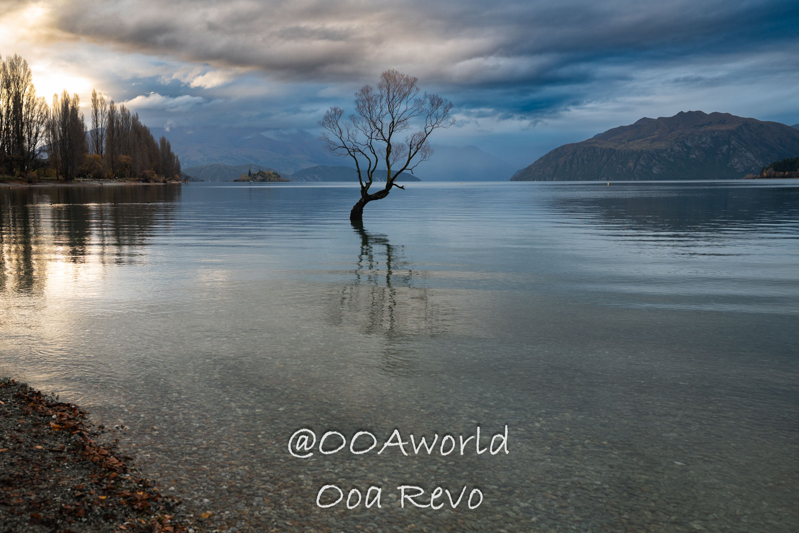 Wanaka-Glenorchy New Zealand lone tree in lake with dramatic sky Photo OOAworld