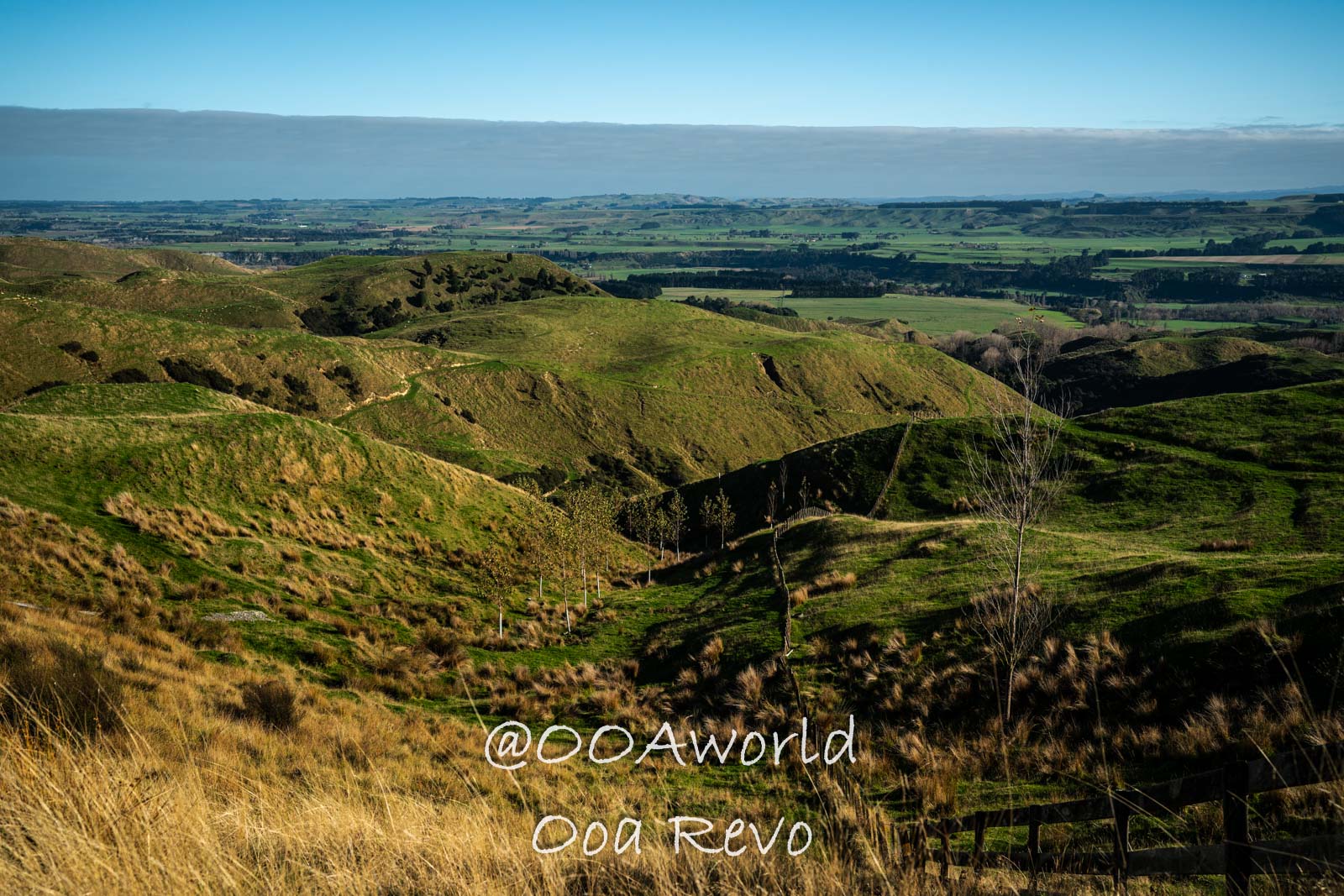 Wellington, Martinborough to Huka Falls New Zealand rolling green hills landscape Photo OOAworld