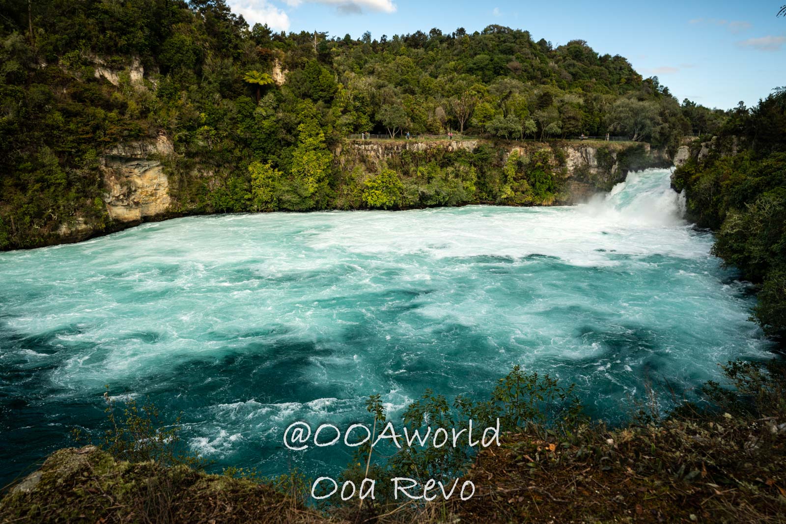 Wellington, Martinborough to Huka Falls New Zealand River waterfall surrounded by lush forest Photo OOAworld