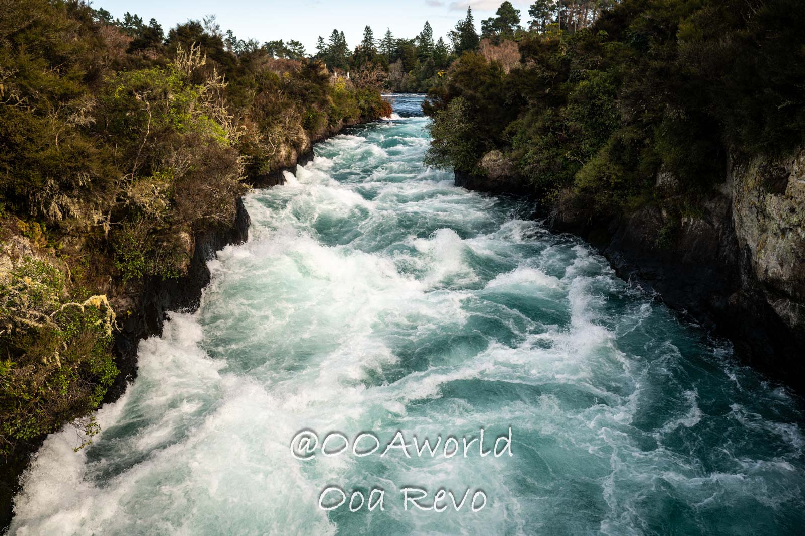 Wellington, Martinborough to Huka Falls New Zealand Rushing river through forested landscape Photo OOAworld