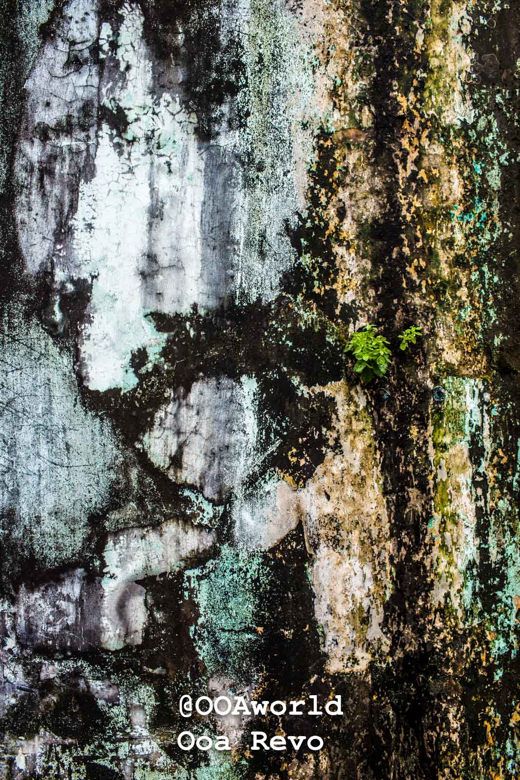 Yangon Streets and Textures Yangon textured weathered wall with moss growth Photo OOAworld Yangon Streets and Textures Yangon textured weathered wall with moss growth Photo OOAworld