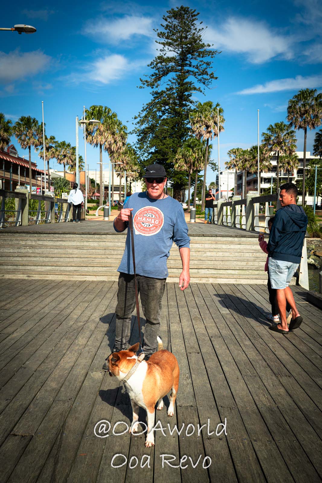 Byron Bay, Port Macquarie Australia man walking dog on boardwalk under blue sky Photo OOAworld