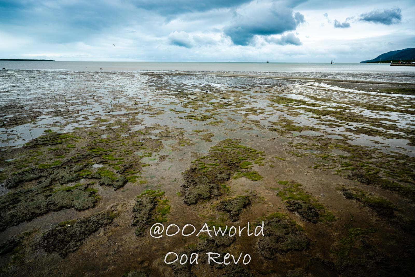 Cairns Australia coastal landscape with low tide and cloudy sky Photo OOAworld
