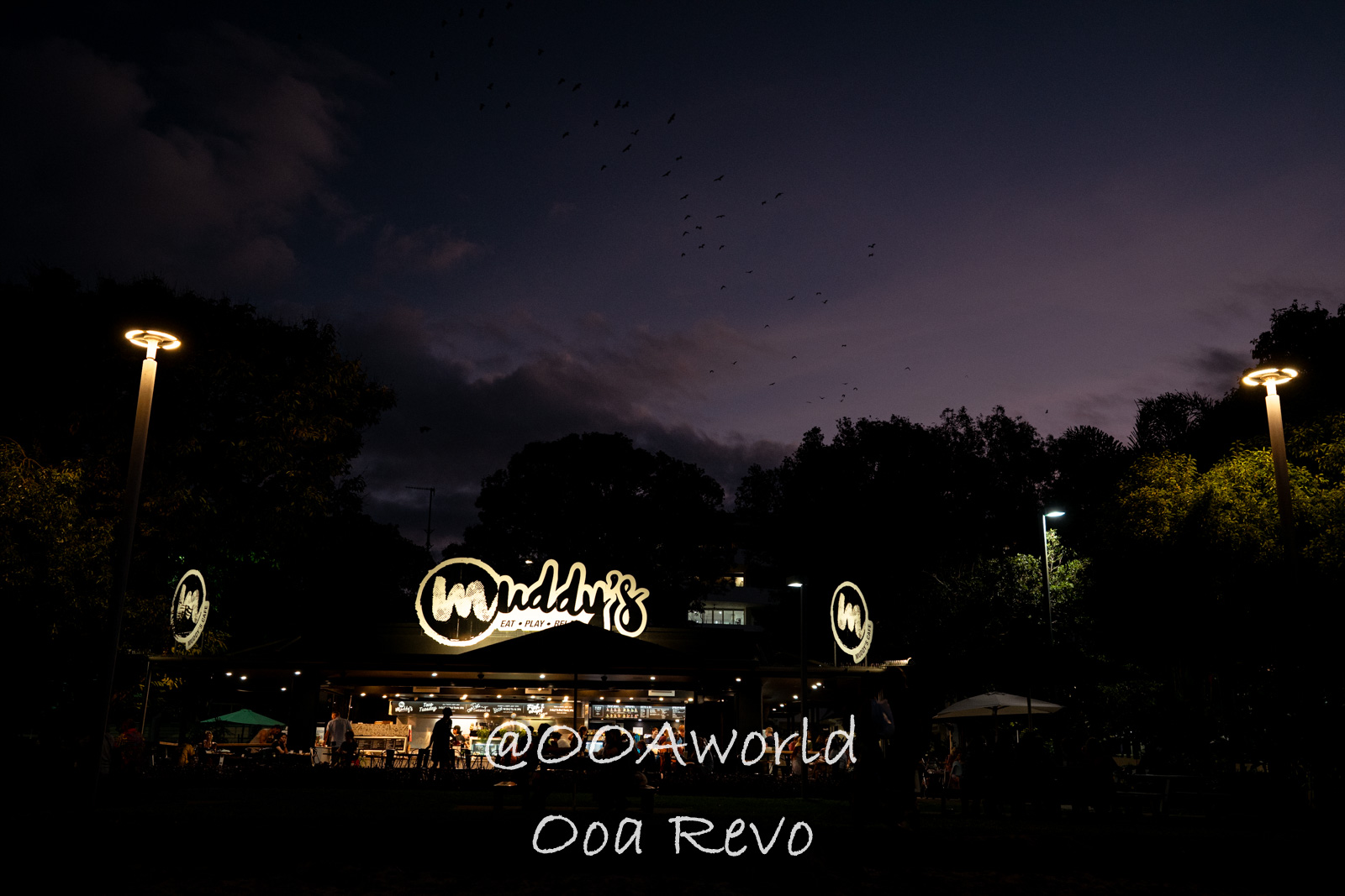 Cairns Australia Muddy's cafe illuminated at dusk Photo OOAworld