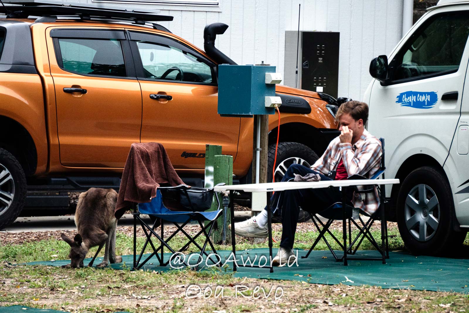 Cape Hillsborough Australia camping scene with kangaroo Photo OOAworld Cape Hillsborough Australia camper sitting outdoors with kangaroo Photo OOAworld