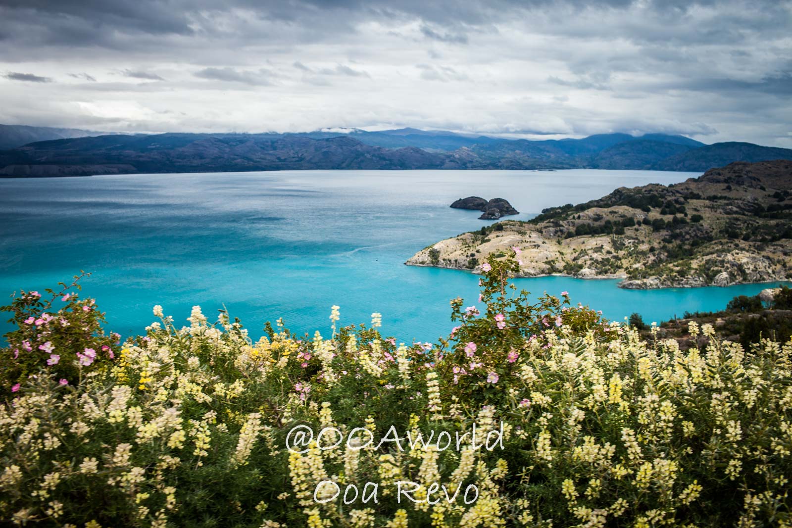 Bus Chile Chico to Puerto Rio Tranquilo Landscapes Chile Chico Patagonia landscape with turquoise lake and blooming flowers Photo OOAworld