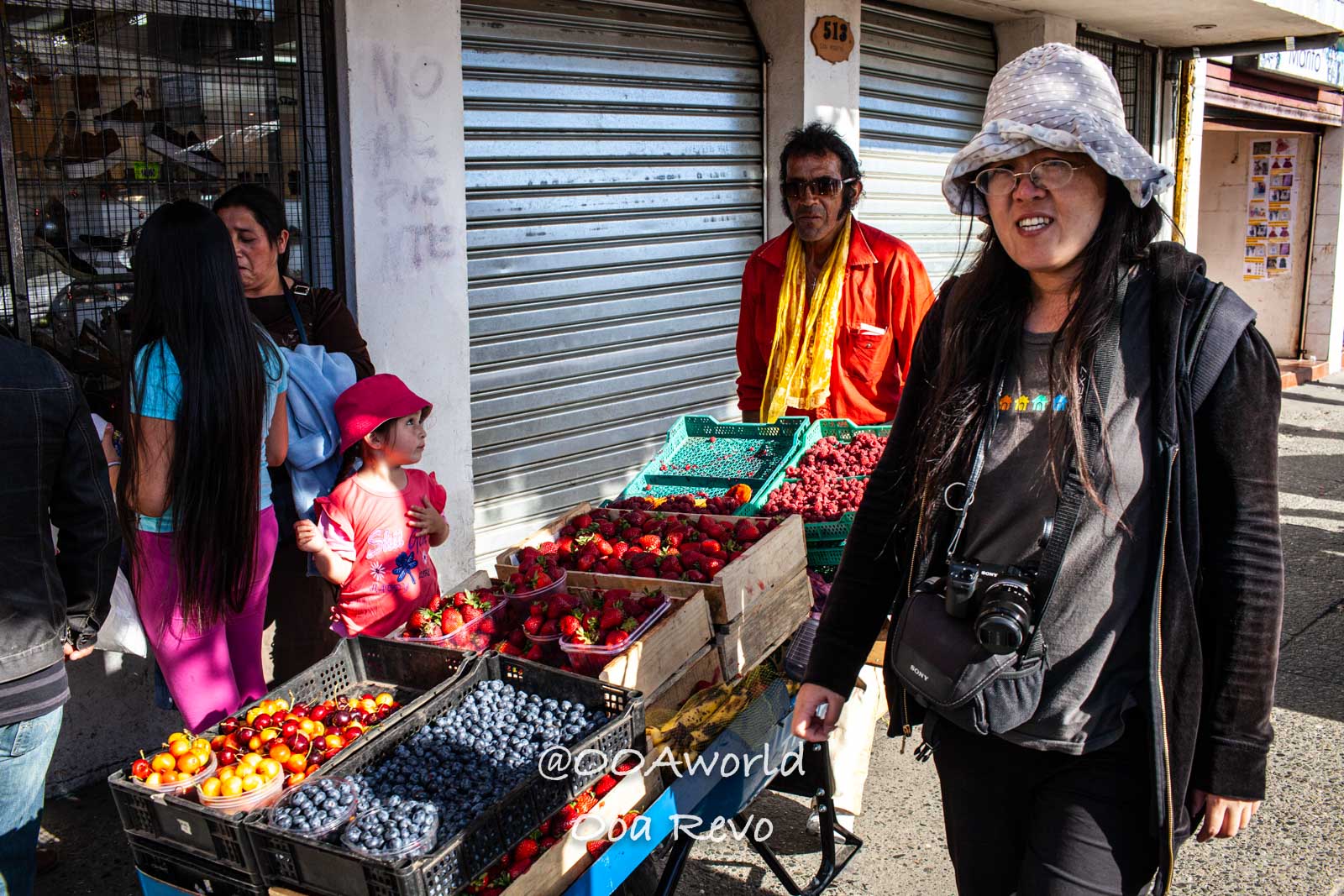 Palafitos and NYE Chiloe street market vendors berries Ecuador Photo OOAworld