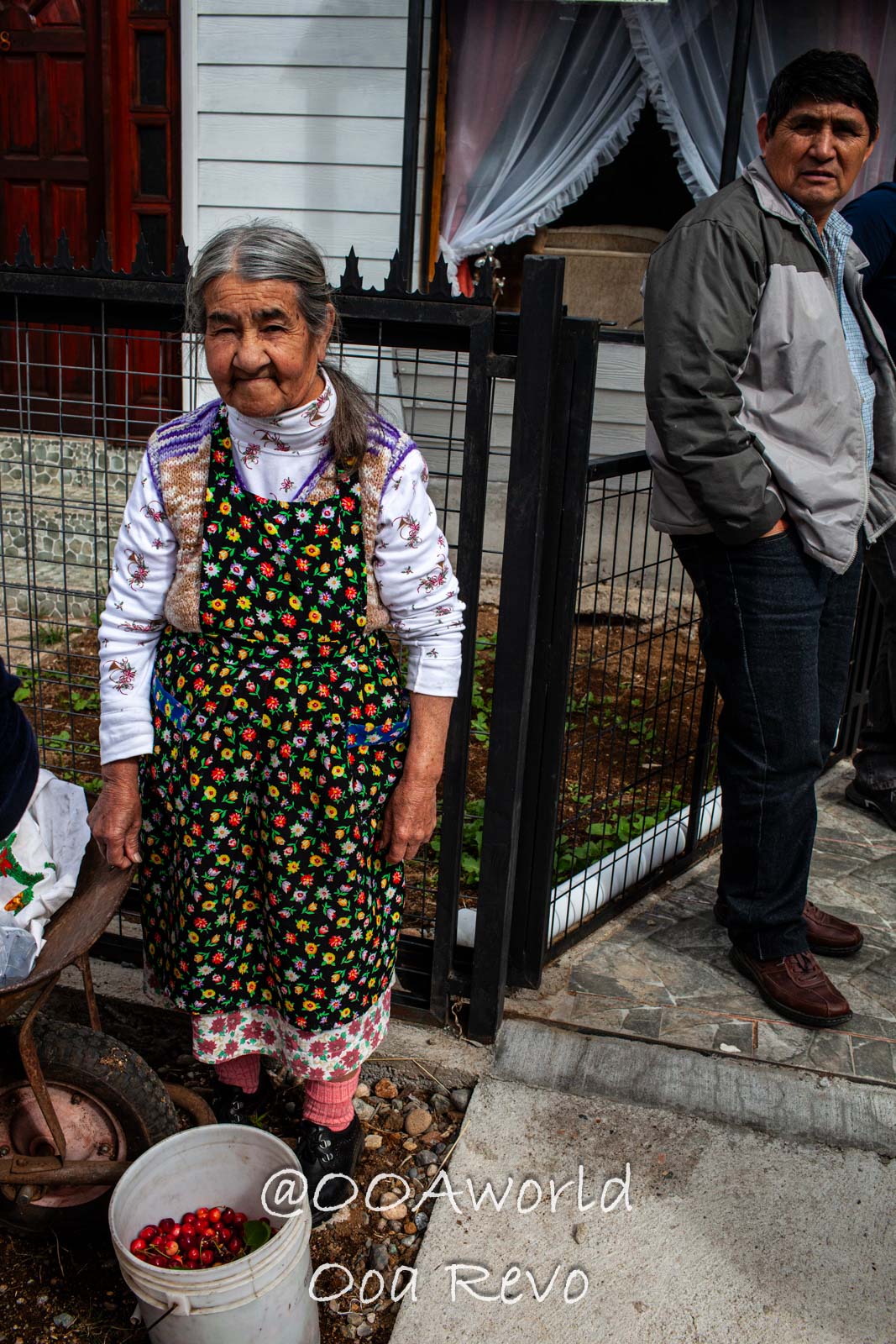 People Portraits Streets Puerto Cisnes elderly woman in floral apron with bucket of cherries Photo OOAworld