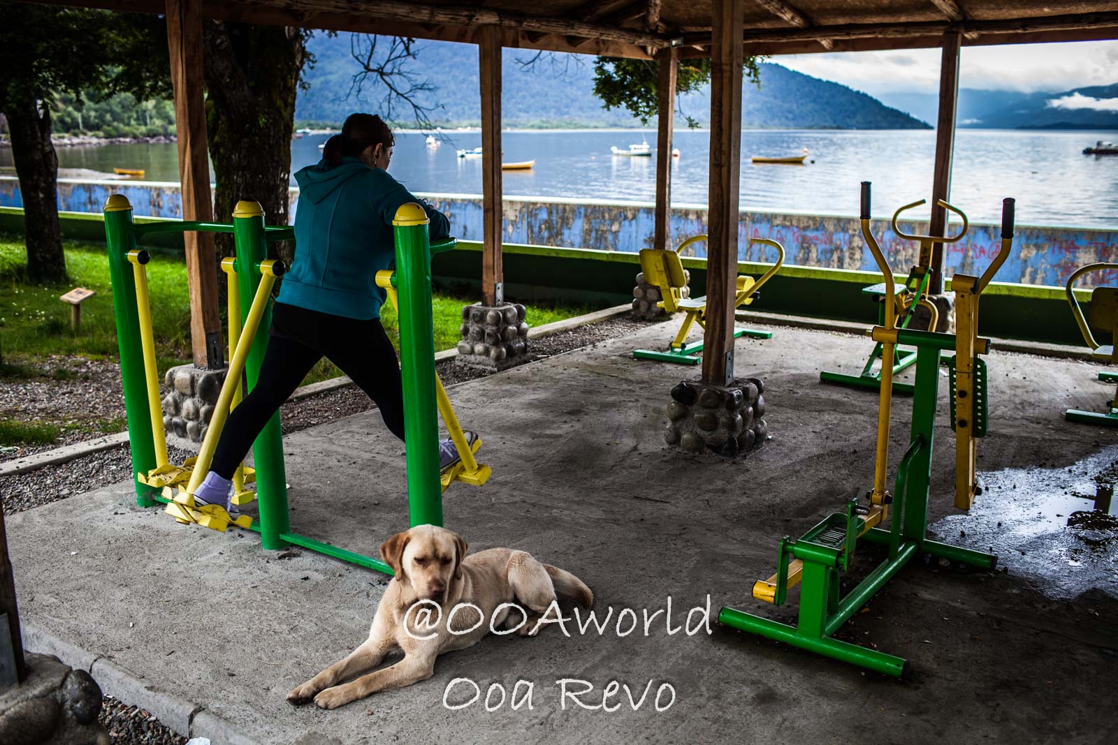People Portraits Streets Puerto Cisnes outdoor gym by scenic lake with person exercising dog resting Photo OOAworld