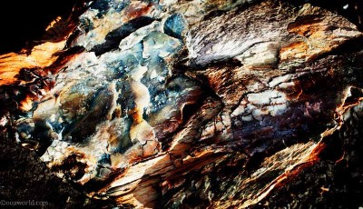Petrified Wood texture, Painted Desert, Arizona