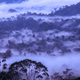 Fog Danum Valley Borneo photo ooaworld Rolling Coconut