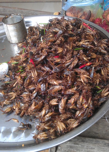fried insects cambodia photo ooaworld Rolling Coconut