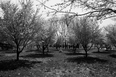 Flushing Meadows, NYC, New York