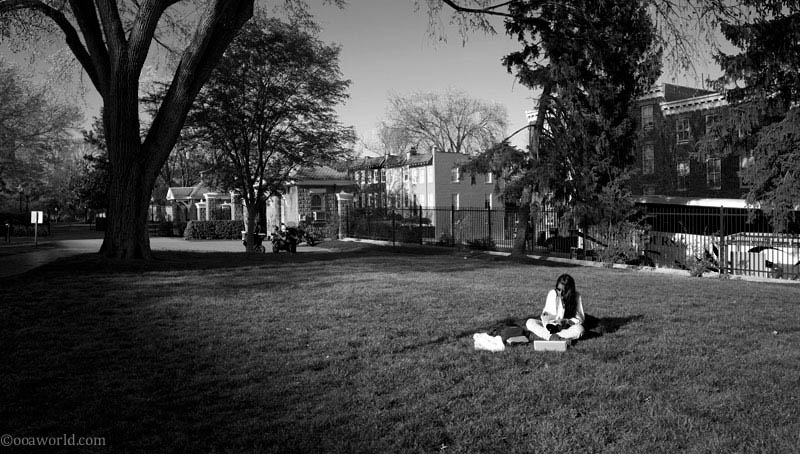 georgetown campus life georgetown USA road trip photo ooaworld