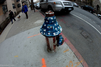 USA Fire Hydrant, NYC photos, New York