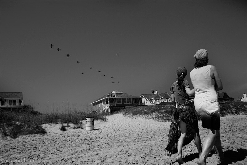 icarus isle of palms USA road trip photo ooaworld