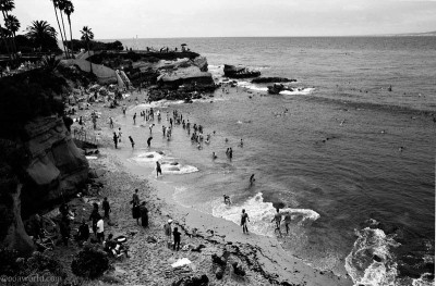 Photos USA Road Trip La Jolla Beach Grove