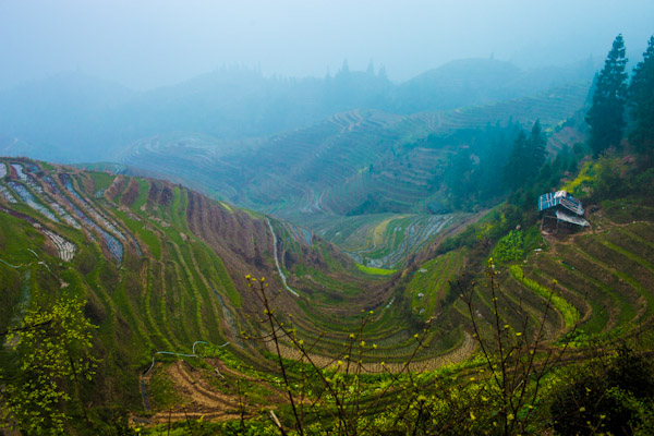 longsheng rice terraces china ooaworld photo