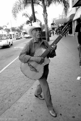 Musician in Tijuana