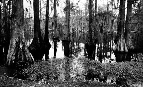 welcome-to-south-carolina-2