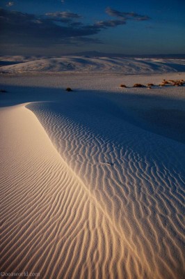 Sunset dunes, white sands