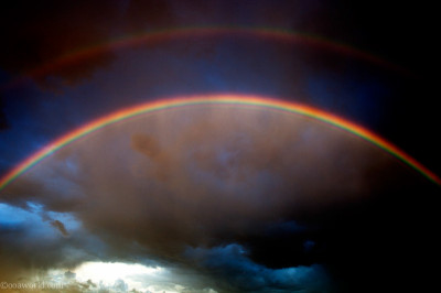 Photos Montana Wyoming Double Rainbow 180, Buffalo