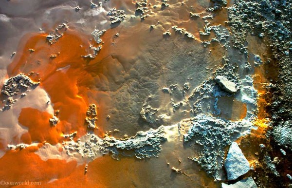 Texture, Yellowstone Park, Orange Germs